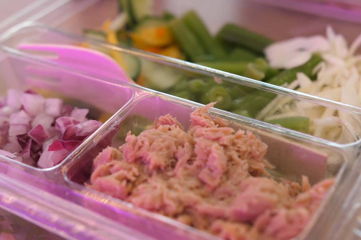 Indoor lunchsalade tonijn 250gr stuk 2